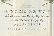 Handwritten Font Lavender Lullaby, a Script Font by Perplexitics (Thumbnail 10 of 11)