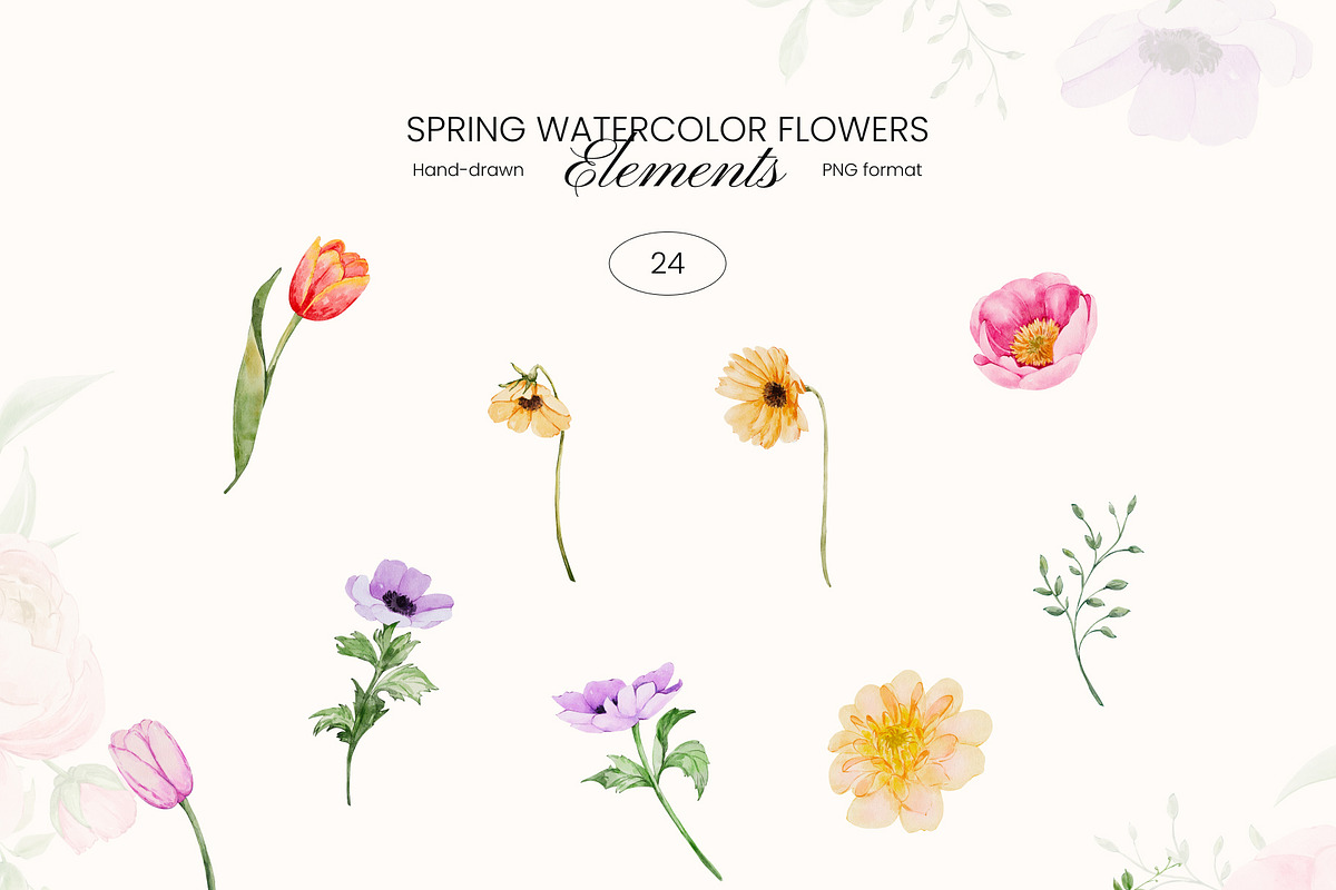Spring Garden watercolor flowers, a Decorative Illustration by Yuliia Lashevska (Photo 12 of 13)
