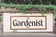 Aventena - Display Sans, a Sans Serif Font by Mokatype Studio (Thumbnail 2 of 11)