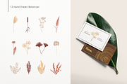 Antica. Aesthetic Logos Generator, a Branding & Logo Template by Cosmic Store (Thumbnail 12 of 16)