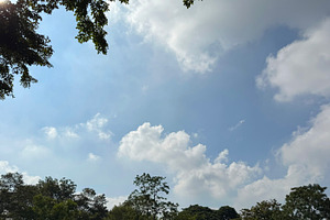 Tree and blue sky with clouds, a Nature Photo by ArtBackground