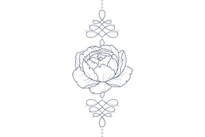 Ornament Peony, Procreate Brushes