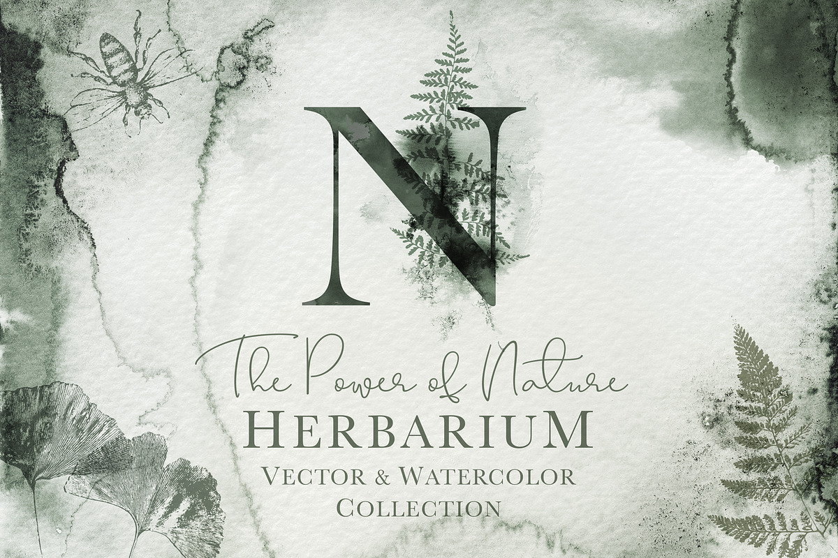 Herbarium: Design Set, a Graphic by Lumitar (Photo 1 of 14)