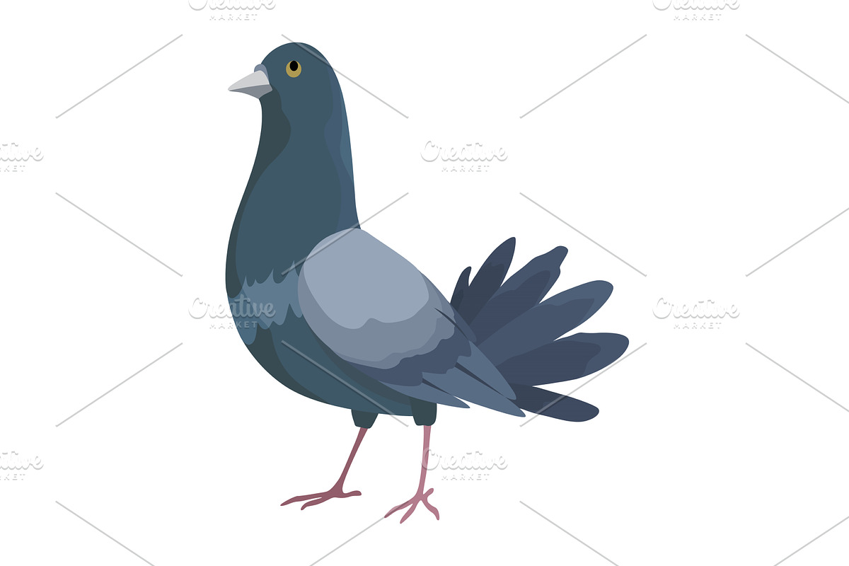 City bird, icon. European colorful, an Animal Illustration by the8monkey