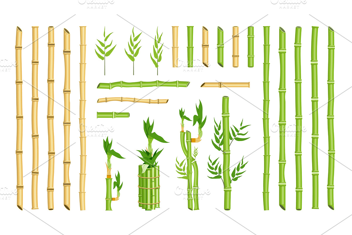 Straight curved bamboo stick stem, a Decorative Illustration by studioworkstock