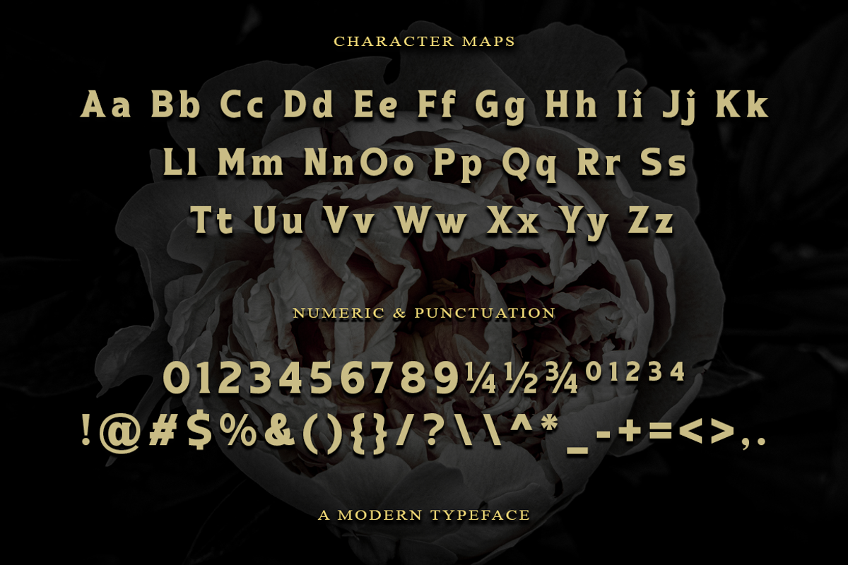 Chrafest - A Modern Typeface, a Serif Font by Meizzaluna Design (Photo 2 of 10)