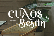 Cuaos Bestin || Serif Font, a Serif Font by Idea Studio (Thumbnail 1 of 10)