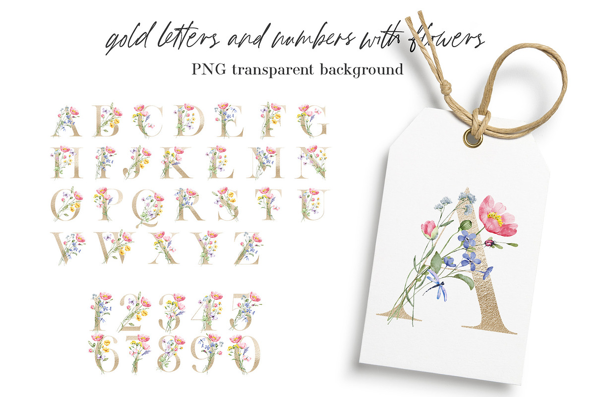 Alphabet, gold letters and numbers, a Decorative Illustration by Larisa Maslova (Photo 1 of 4)