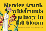 Broftin Resort Bold Serif Display, a Serif Font by timelesstype.co (Thumbnail 19 of 20)