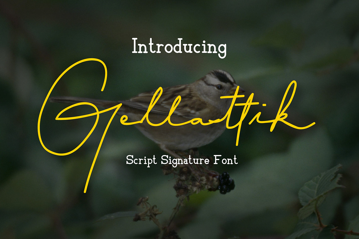 Gellattik - Script Signature Font, a Script Font by Anomali Creatype (Photo 1 of 6)