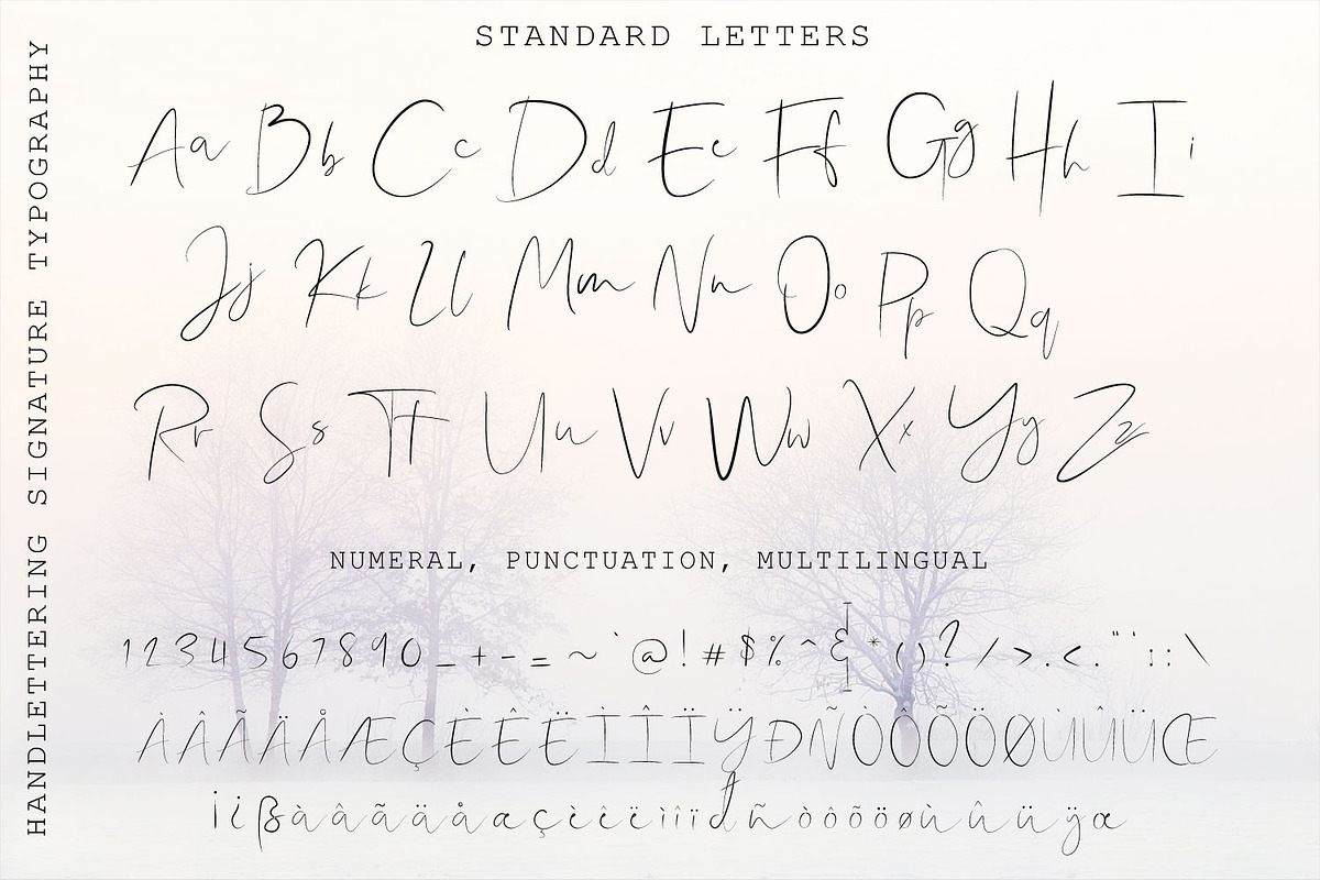 Shallou Signature Script Typeface preview 4