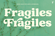 Maple Drive Retro Typeface, a Serif Font by Fenotype (Thumbnail 11 of 13)
