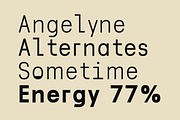 Lenia Mono | Intro 50% OFF, a Sans Serif Font by Lettertype Studio (Thumbnail 12 of 14)