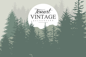 Vintage Pine Forest