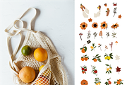 Autumn Harvest vector Collection, an Illustration by Yana_mide (Thumbnail 3 of 8)