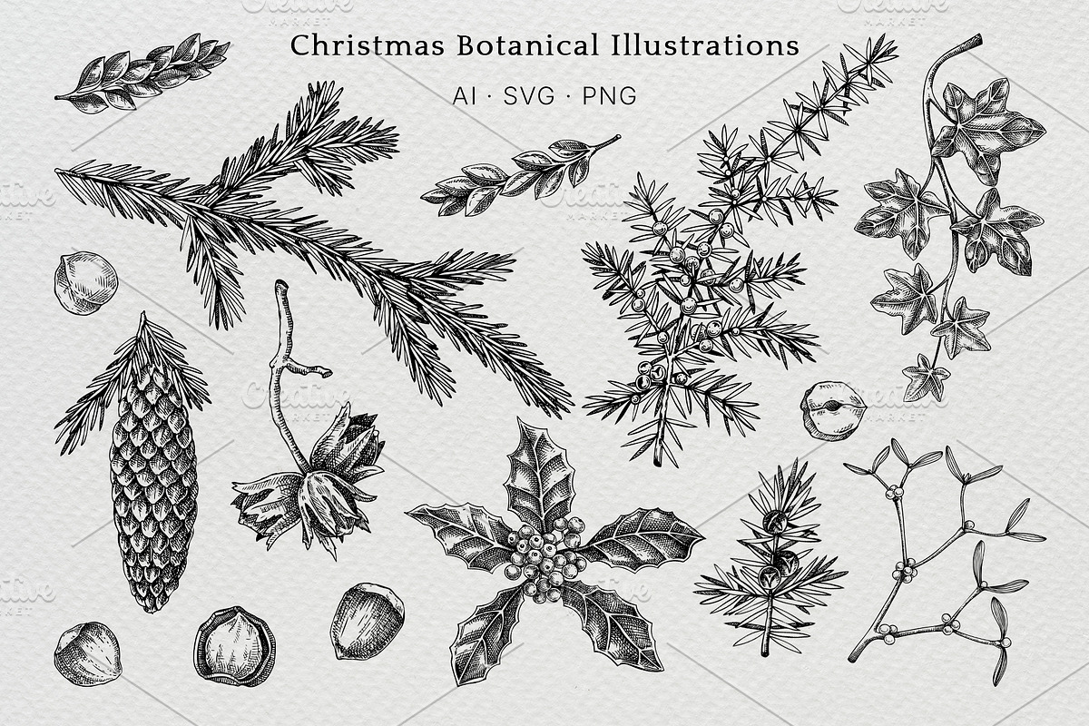 Winter Flowers Christmas Collection, a Seasonal Illustration by Yevheniia (Photo 4 of 12)
