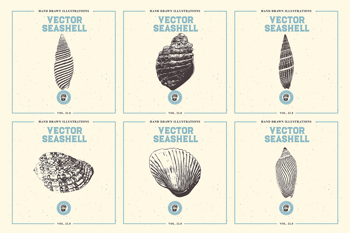 VECTOR SEASHELL HAND DRAWN BUNDLE 22, an Illustration by pawellpi (Photo 2 of 10)