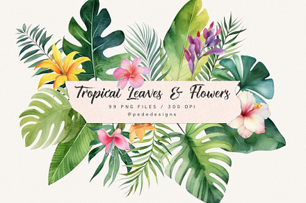 Tropical Leaves & Flowers, a Decorative Illustration by PeDe Designs
