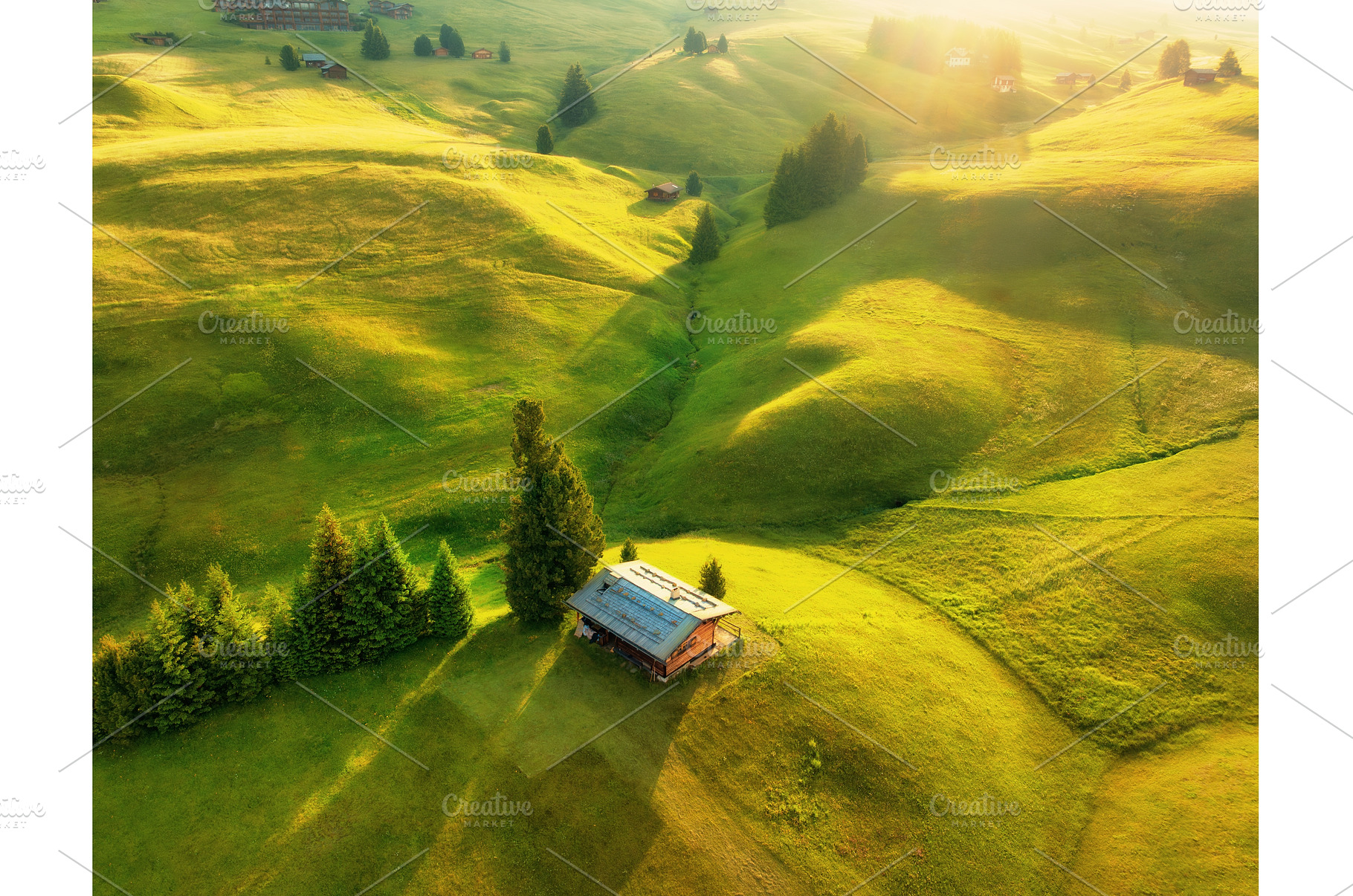 Aerial view of green alpine meadows, a Nature Photo by den-belitsky