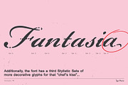 Fantasia TM – Dreamy Script, a Font by Type Mania (Thumbnail 4 of 12)