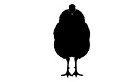 Thanksgiving Turkey Silhouettes, an Illustration by Amazin_art (Thumbnail 15 of 16)