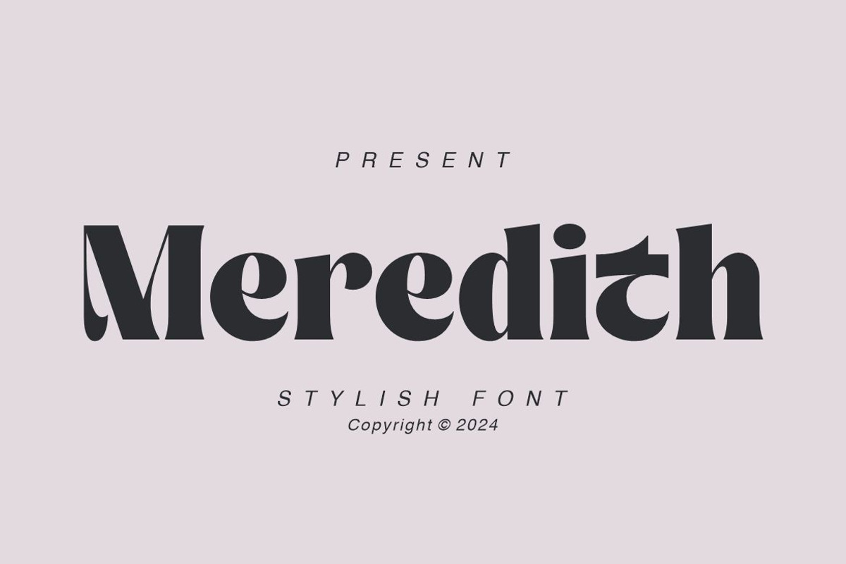 Meredith, a Sans Serif Font by elevencreateam (Photo 2 of 11)