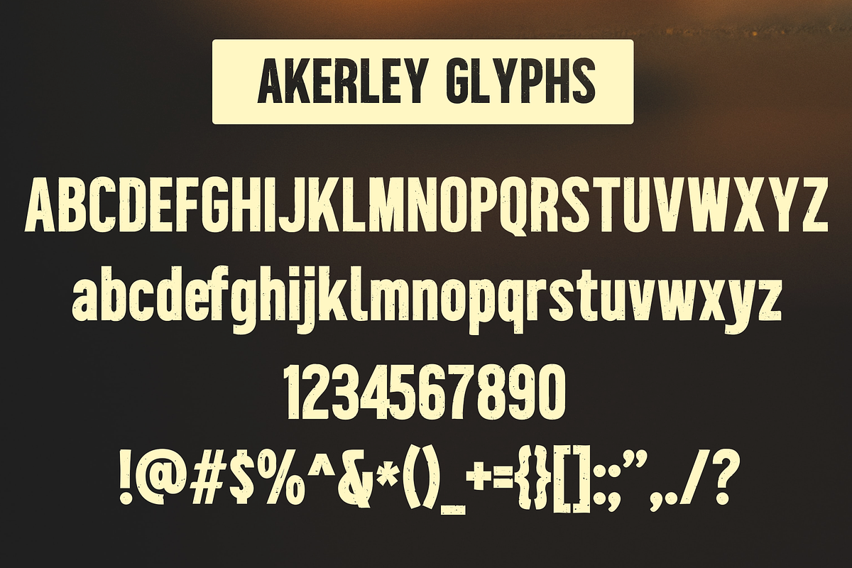 Akerley - Textured Sans Serif Font, a Font by Surplus Type Co (Photo 2 of 5)