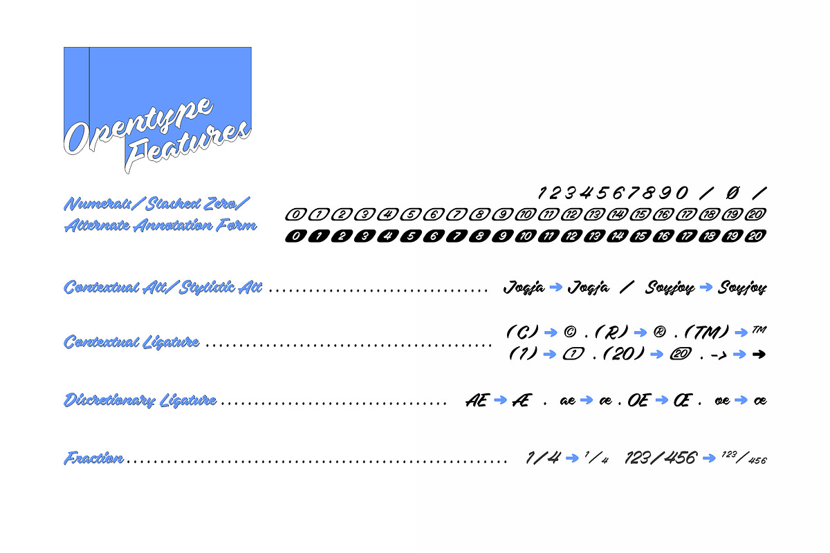 Chiba Script Font, a Script Font by Brainware Graphic (Photo 3 of 9)