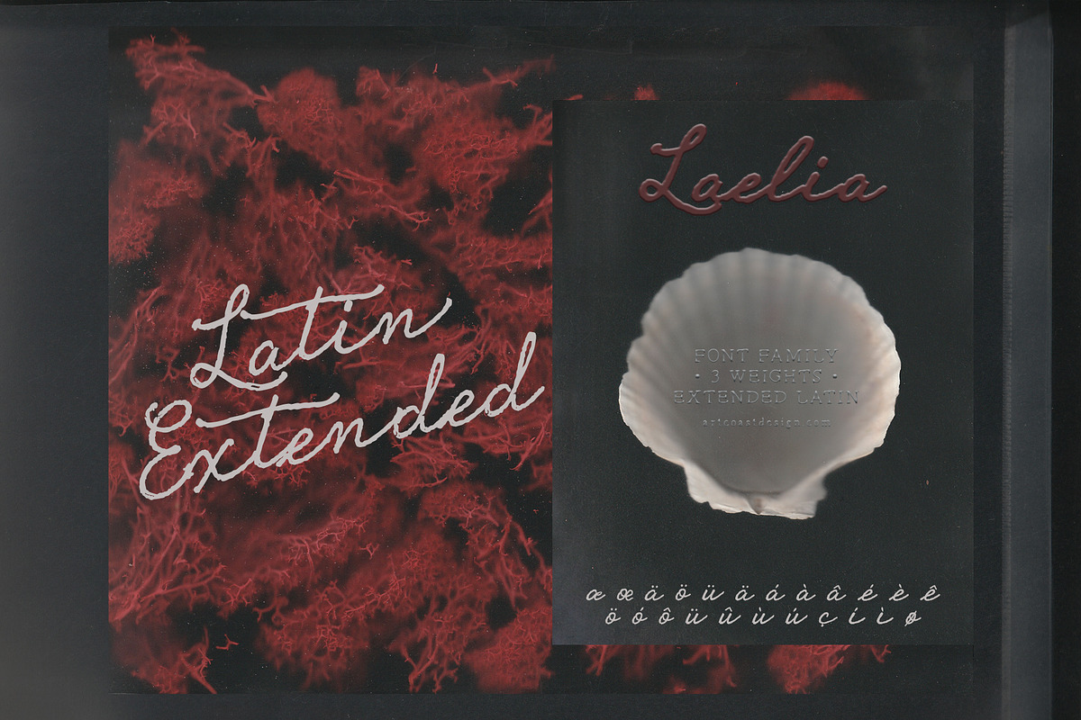 Laelia Font Family | Elegant Script, a Script Font by nadispasibenko (Photo 6 of 11)