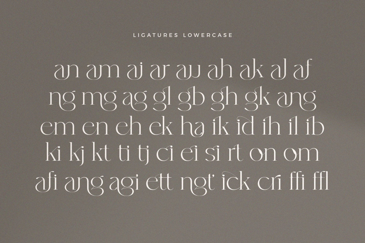 Rhiffiral, a Serif Font by Dora Typefoundry (Photo 9 of 30)
