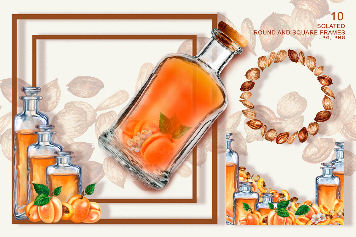 Apricot Aroma & Amaretto Watercolor, a Food Illustration by EL_SUHOVA (Photo 7 of 14)