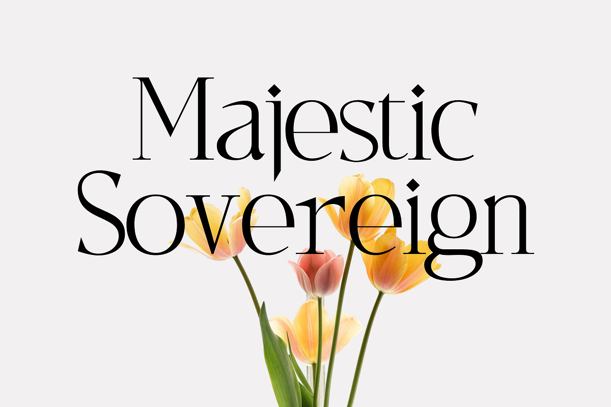 Wilajeng - Classy Elegant Serif Font, a Serif Font by Elmous (Photo 2 of 11)