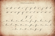Aventalia Script - Elegant Font, a Script Font by Variatype (Thumbnail 10 of 10)
