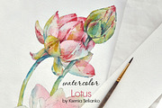 Watercolor Lotus, an Illustration by Ksenia Selianko (Thumbnail 1 of 2)