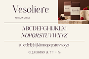 Vesoliere Elegant Serif Font, a Serif Font by Designertale (Thumbnail 10 of 10)