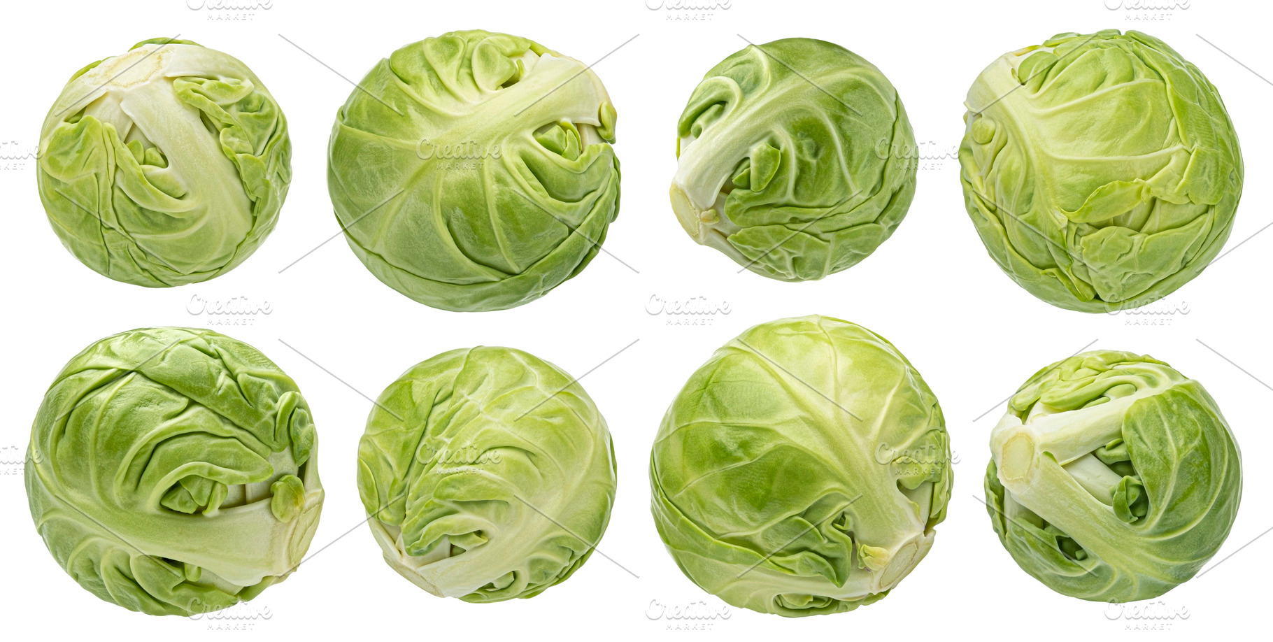 Brussels sprouts isolated on white, a Food & Drink Photo by Max Lashcheuski