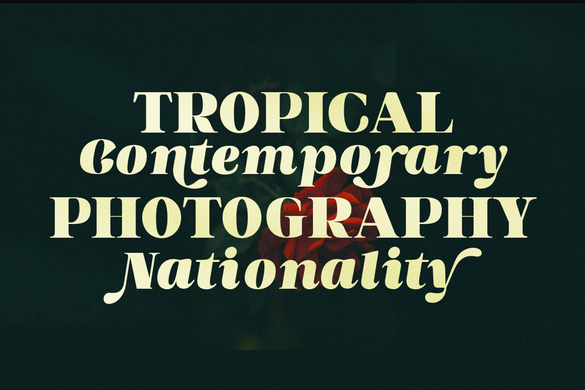 Blish Gham, a Font by Fontastic (Photo 7 of 13)