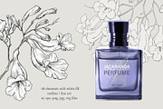 Flowers of Jacaranda. Botanical Set, a Decorative Illustration by ON_lineart_store (Thumbnail 5 of 10)