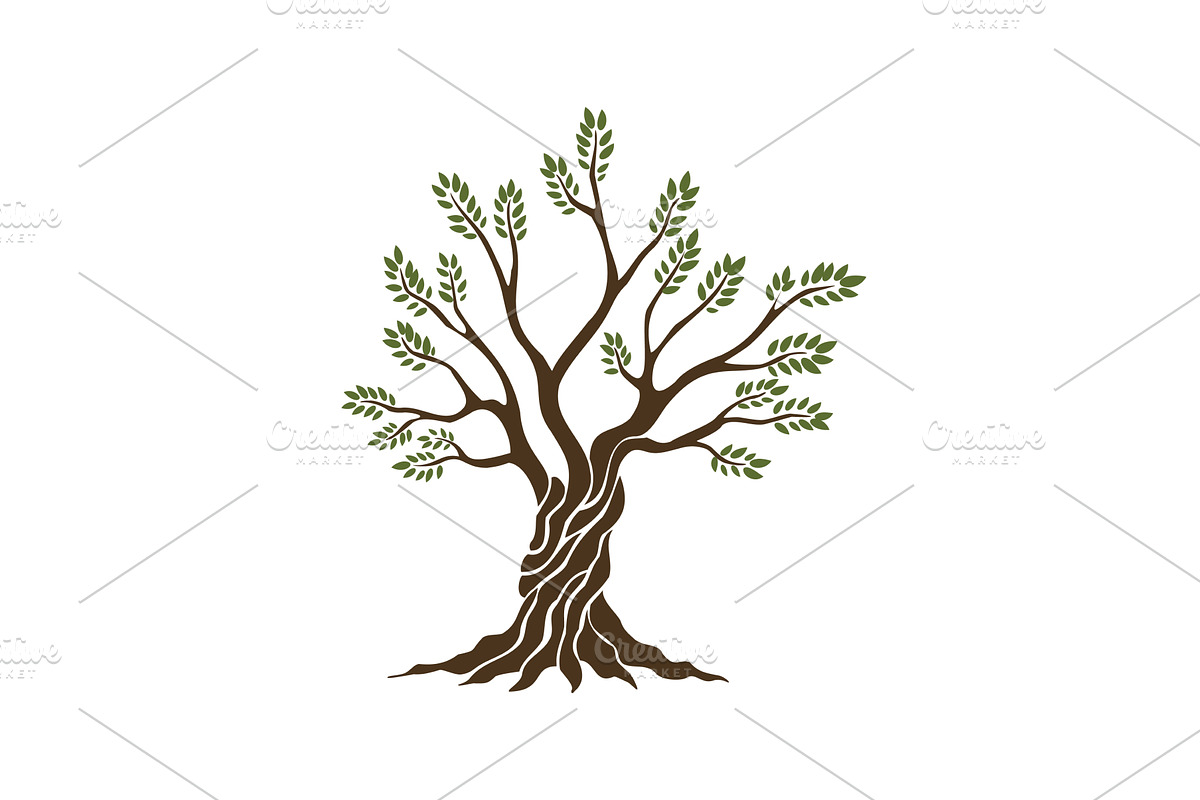 Olive trees with branches and, a Food Illustration by Things for designers