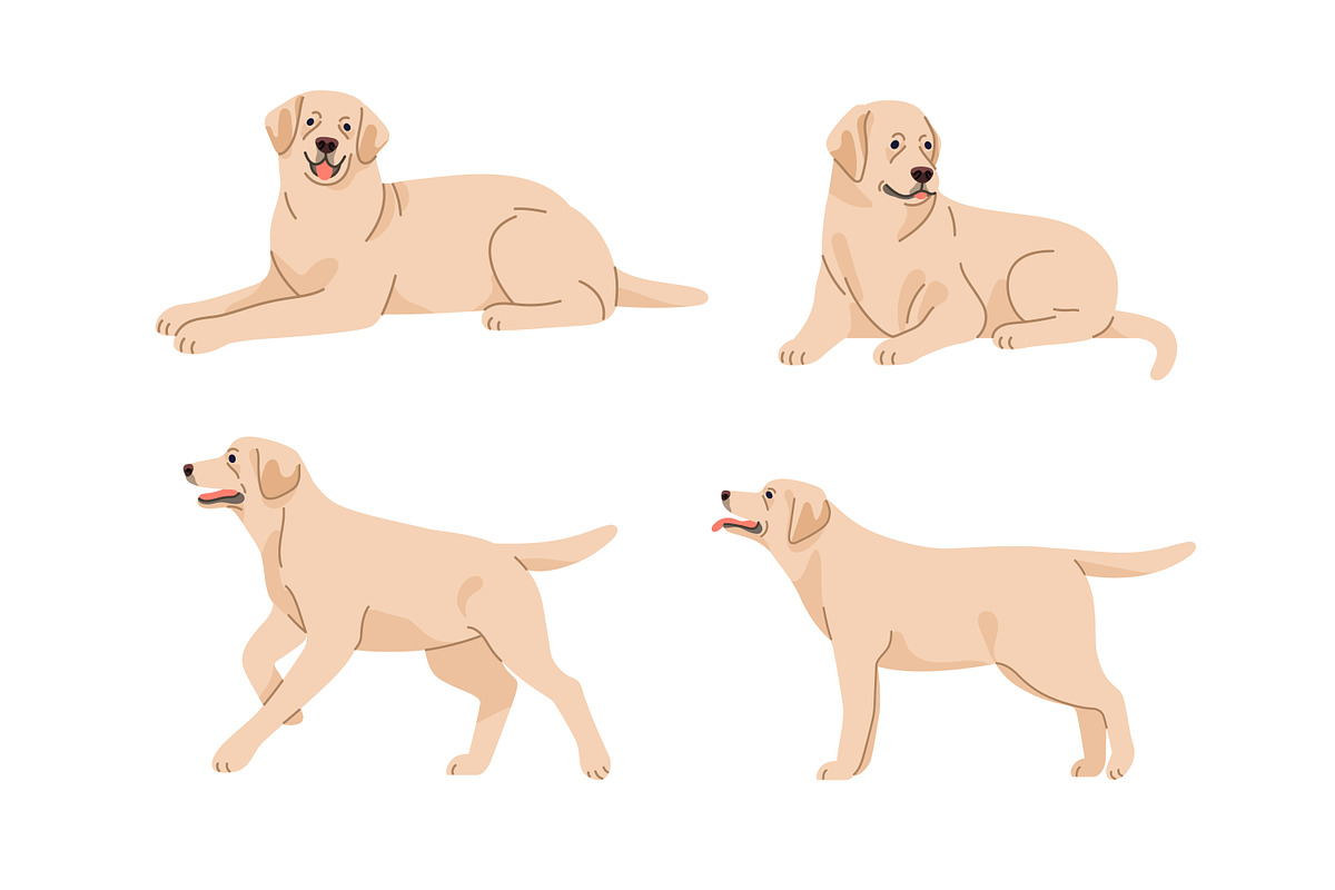 Labrador retriever dog set, patterns, an Animal Illustration by Good Studio (Photo 3 of 11)