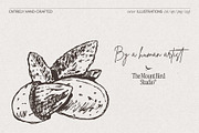 Botanical Herb Ingredients, a Healthcare Illustration by TheMountBirdStudio (Thumbnail 3 of 10)
