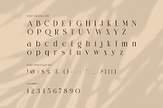 Chose Elegant Ligature Serif Font, a Serif Font by Perfectype (Thumbnail 7 of 8)