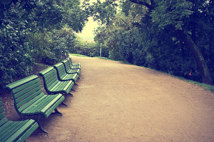nature vintage background, a Photo by Nature photos