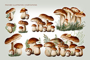 Mushrooms watercolor clip art, a Seasonal Illustration by Alena Sid (Thumbnail 5 of 13)