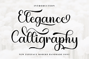 Elegance Calligraphy, a Handwritten Font by FreshTypeINK (Thumbnail 1 of 8)
