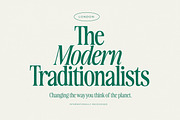 The Awesome Serif Family (32 Fonts), a Serif Font by Nicky Laatz (Thumbnail 18 of 42)