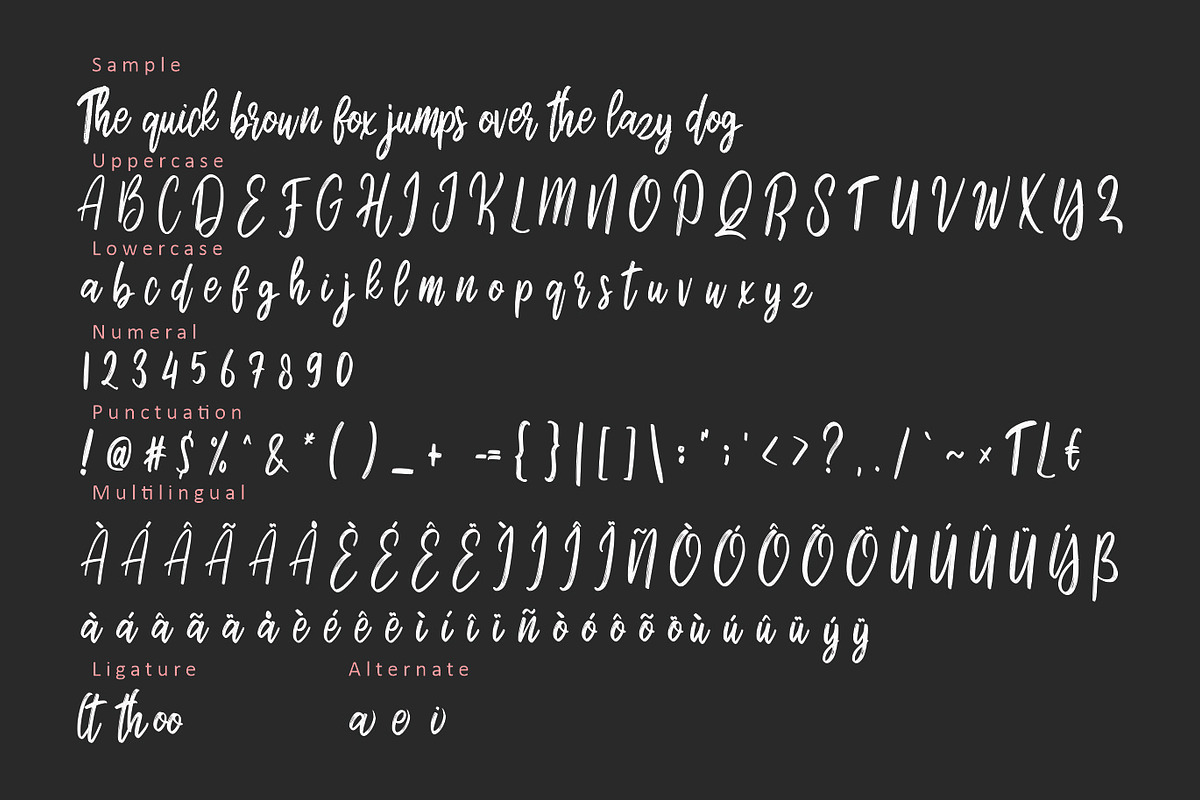 Boomberg, a Script Font by Barkah (Photo 9 of 10)