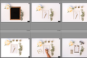 15 Stock Images with White Roses, a Templates & Theme by Cohesive Market (Thumbnail 3 of 3)