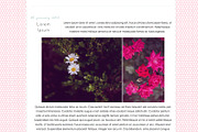 Honeycomb PSDs, a Pattern Graphic by michLg designs (Thumbnail 3 of 4)