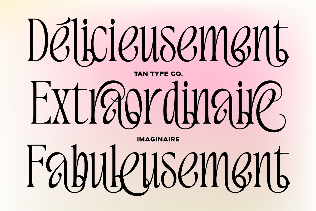 TAN - IMAGINAIRE, a Serif Font by TanType (Photo 8 of 12)